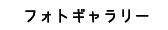 フォトギャラリー